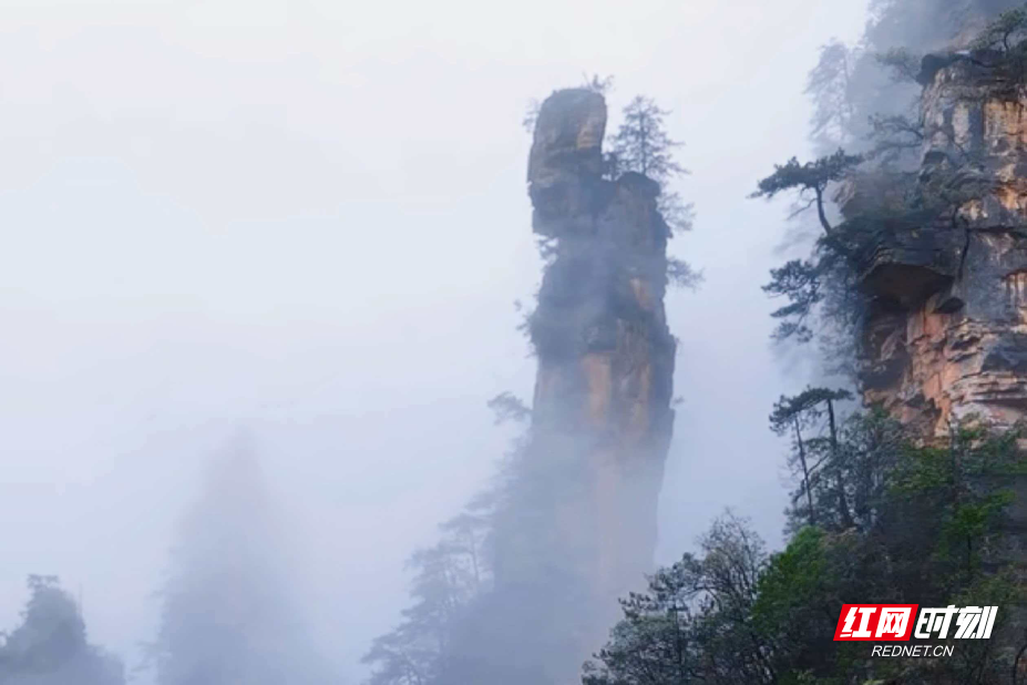 微信图片_20260327104950_1908_214.jpg 微信图片_20260327104950_1908_214.jpg