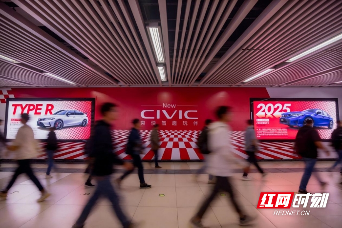 樱花季的武汉，为什么大家在追这抹红？