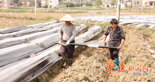 宁远县仁和镇:6700亩烤烟田间地头管护忙_副本500.png 宁远县仁和镇:6700亩烤烟田间地头管护忙_副本500.png