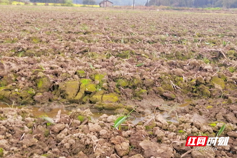 微信图片_20260327105101.jpg 微信图片_20260327105101.jpg