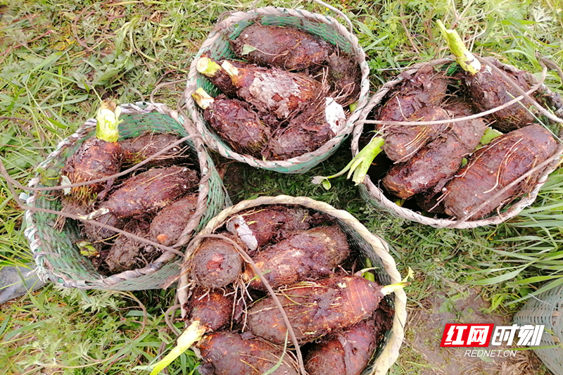 微信图片_20260327104800.jpg 微信图片_20260327104800.jpg