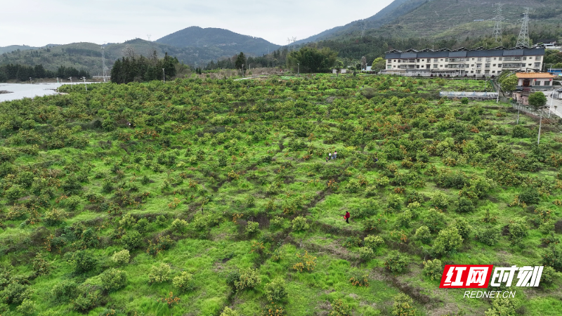 188_副本.jpg 188_副本.jpg