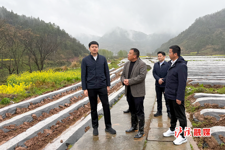 贺立3.27.jpg2.jpg 贺立3.27.jpg2.jpg