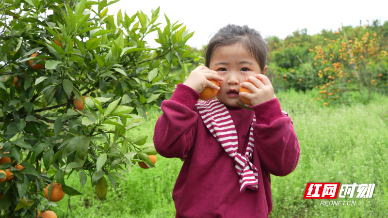 596_副本.jpg 596_副本.jpg