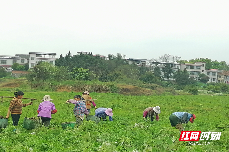 微信图片_20260327104813.jpg 微信图片_20260327104813.jpg