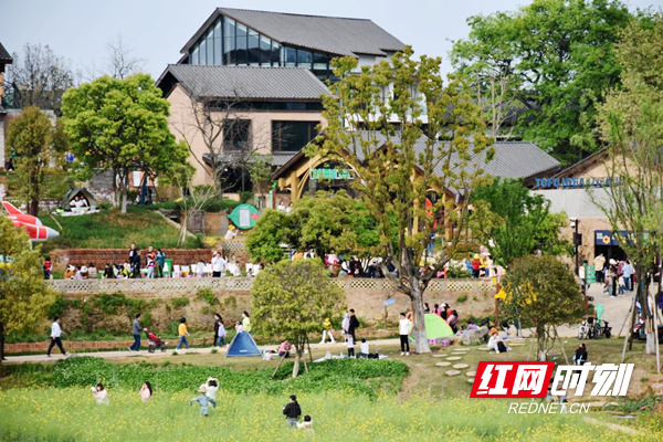 微信图片_20260326163228_副本.png 微信图片_20260326163228_副本.png