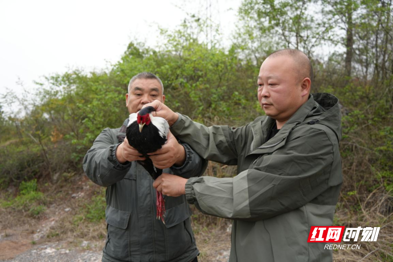 图片5.png 图片5.png