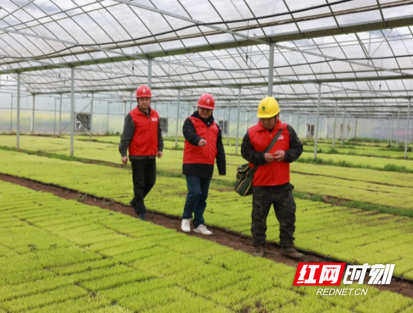 微信图片_20260327172605_869_9.jpg 微信图片_20260327172605_869_9.jpg