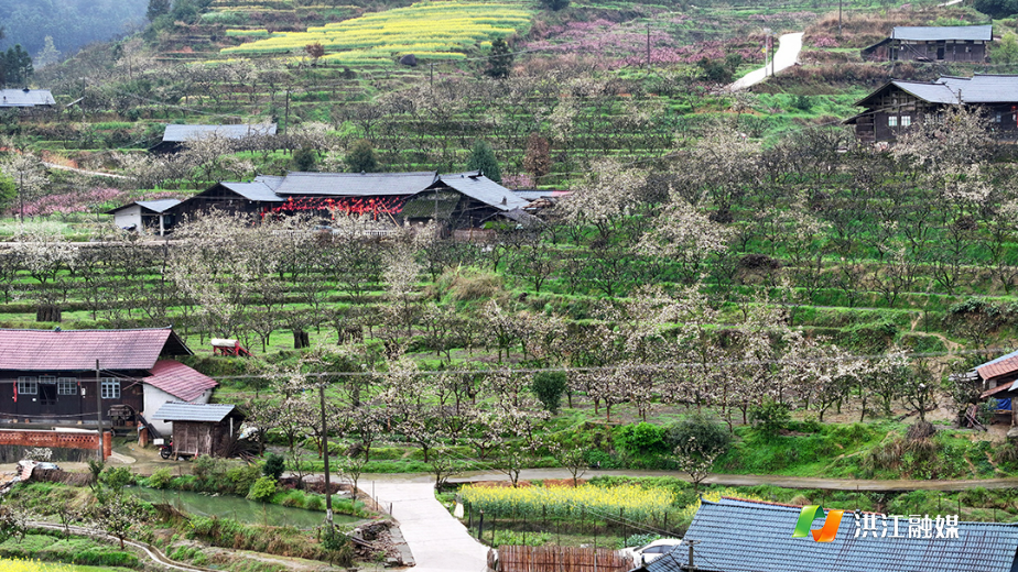 微信图片_20260328173447_2763_317.jpg 微信图片_20260328173447_2763_317.jpg