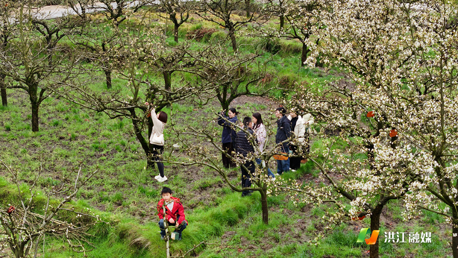 微信图片_20260328173459_2766_317.jpg 微信图片_20260328173459_2766_317.jpg