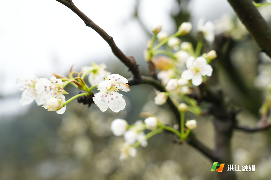 微信图片_20260328173510_2769_317.jpg 微信图片_20260328173510_2769_317.jpg