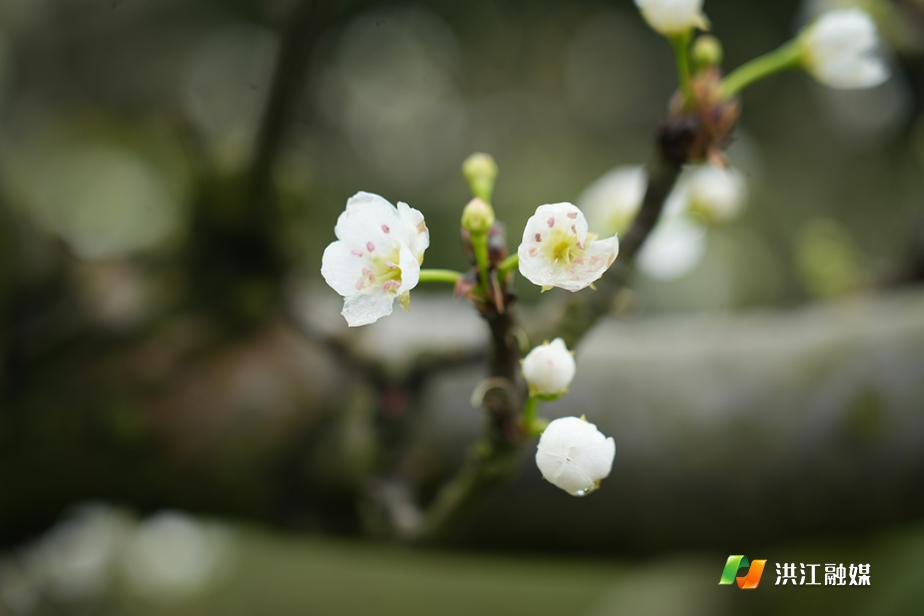 微信图片_20260328173534_2775_317.jpg 微信图片_20260328173534_2775_317.jpg