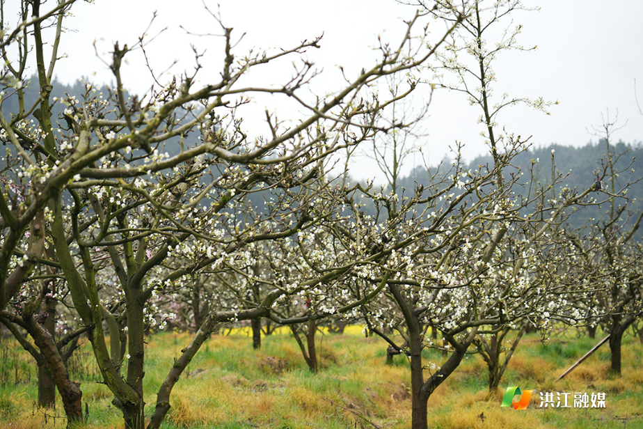 微信图片_20260328173514_2770_317.jpg 微信图片_20260328173514_2770_317.jpg