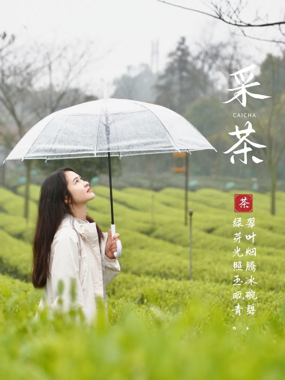 微信图片_20260325160652_1186_263.jpg 微信图片_20260325160652_1186_263.jpg