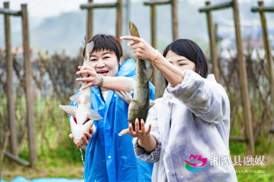 图片3.png 图片3.png