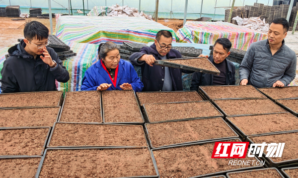 IMG_20260329_102924.jpg IMG_20260329_102924.jpg