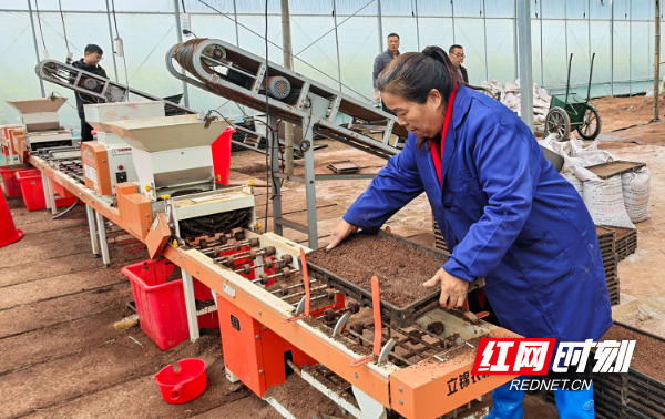 IMG_20260329_102435.jpg IMG_20260329_102435.jpg