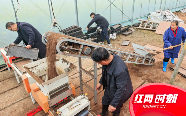 IMG_20260329_102056.jpg IMG_20260329_102056.jpg