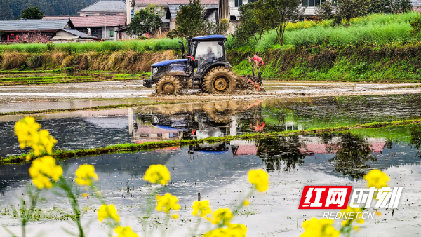 IMG_20260329_113730.jpg IMG_20260329_113730.jpg