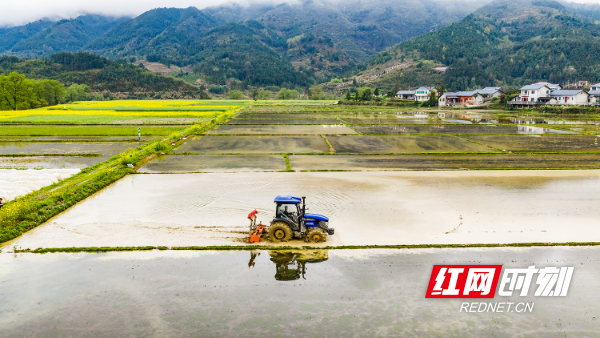 DJI_20260329112948_0132_D.jpg DJI_20260329112948_0132_D.jpg