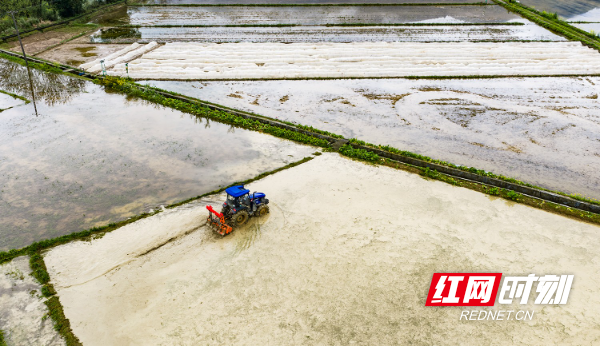 DJI_20260329111726_0095_D.jpg DJI_20260329111726_0095_D.jpg