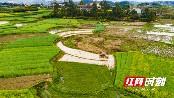 DJI_20260329111215_0078_D.jpg DJI_20260329111215_0078_D.jpg