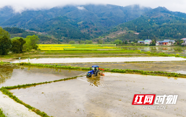 DJI_20260329110532_0023_D.jpg DJI_20260329110532_0023_D.jpg