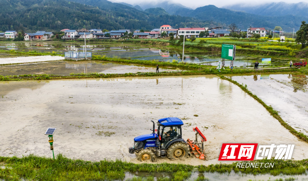 DJI_20260329110735_0046_D.jpg DJI_20260329110735_0046_D.jpg