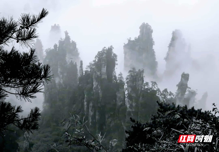 微信图片_20260330081801_1925_214.jpg 微信图片_20260330081801_1925_214.jpg