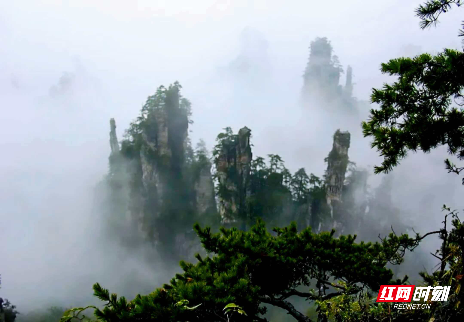 微信图片_20260330081801_1926_214.jpg 微信图片_20260330081801_1926_214.jpg