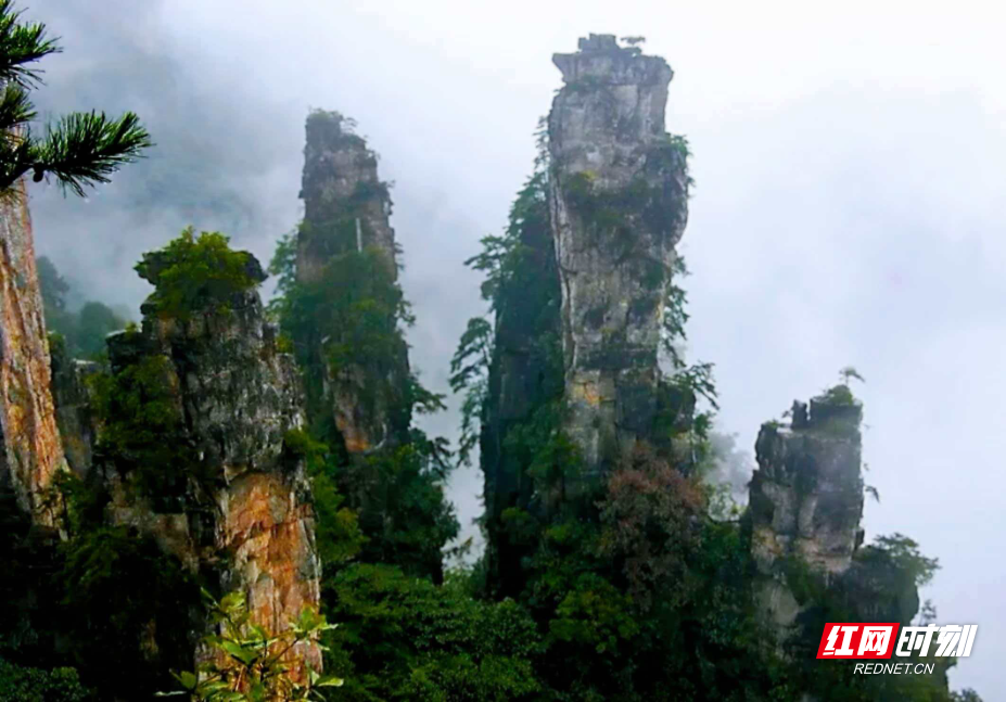 微信图片_20260330081800_1924_214.jpg 微信图片_20260330081800_1924_214.jpg