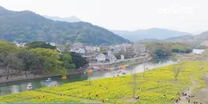 春和景明 赏花经济持续火热