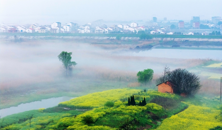 【每日一图@湖南】东洞庭湖湿地的浪漫，是晨雾给的