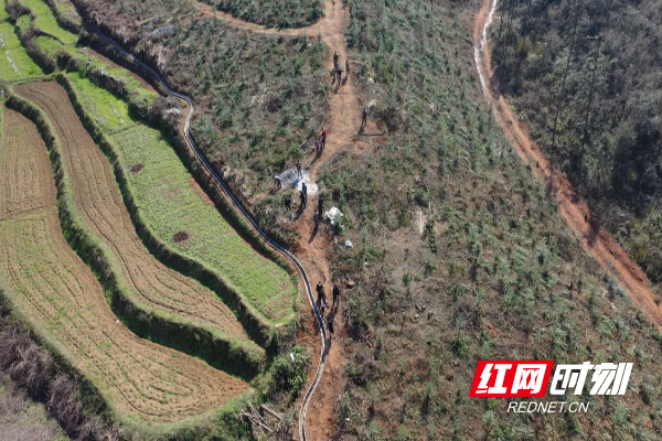 微信图片_20260330145049_270_42.png 微信图片_20260330145049_270_42.png