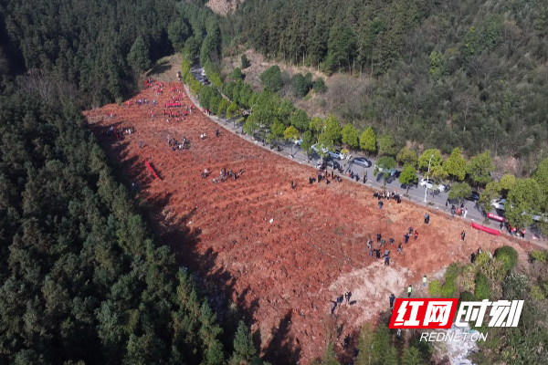 微信图片_20260330144835_267_42.png 微信图片_20260330144835_267_42.png