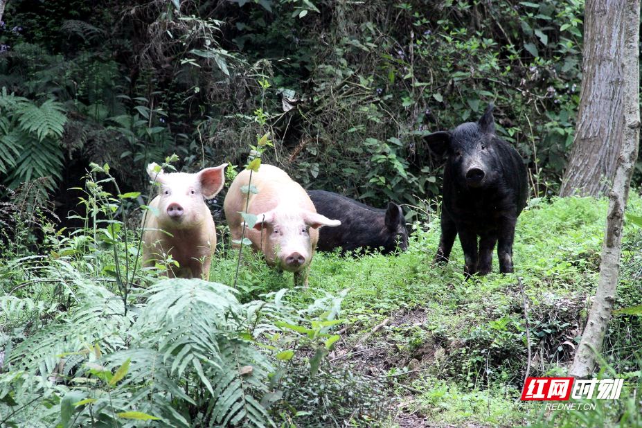 IMG_0638.JPG IMG_0638.JPG