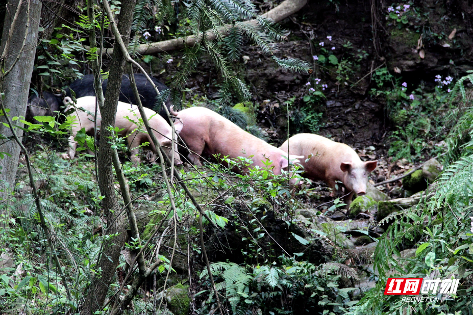 IMG_0629.JPG IMG_0629.JPG