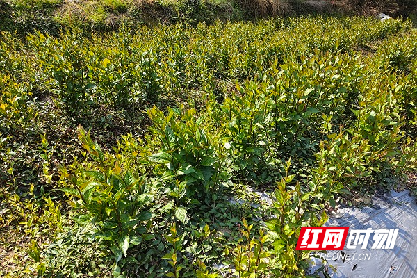 efa6e4e26f09c8d16f2fd555726d097d.jpg efa6e4e26f09c8d16f2fd555726d097d.jpg