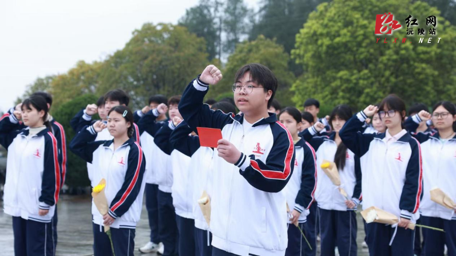 图片3.png 图片3.png