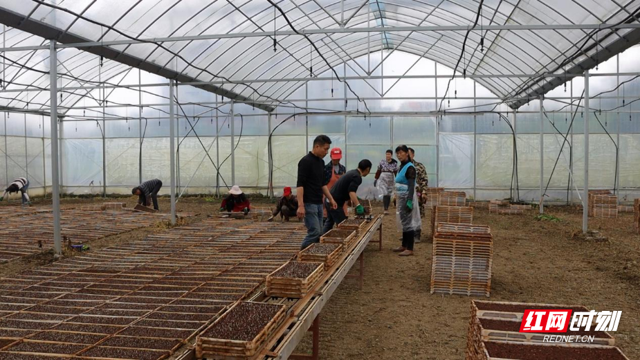 图片24.png 图片24.png