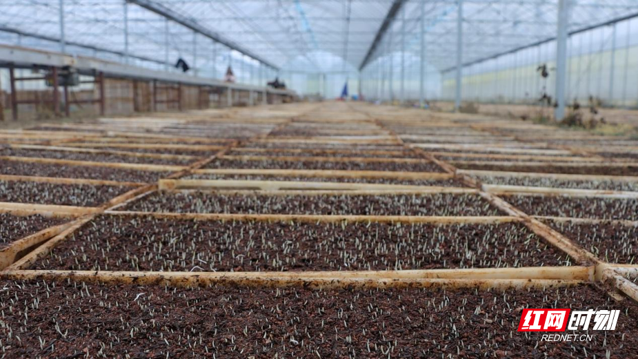 图片23.png 图片23.png