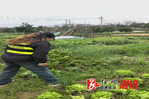 微信图片_20260330101633_120.jpg 微信图片_20260330101633_120.jpg