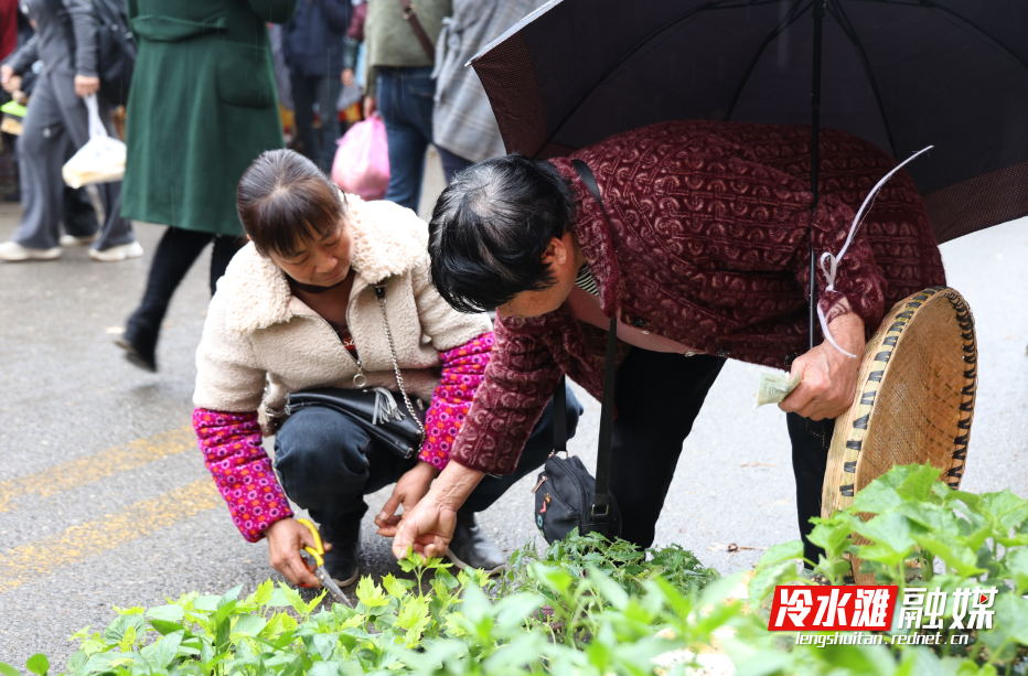 222d87ca-f190-413b-9dbd-4e009f0b139b.png 222d87ca-f190-413b-9dbd-4e009f0b139b.png