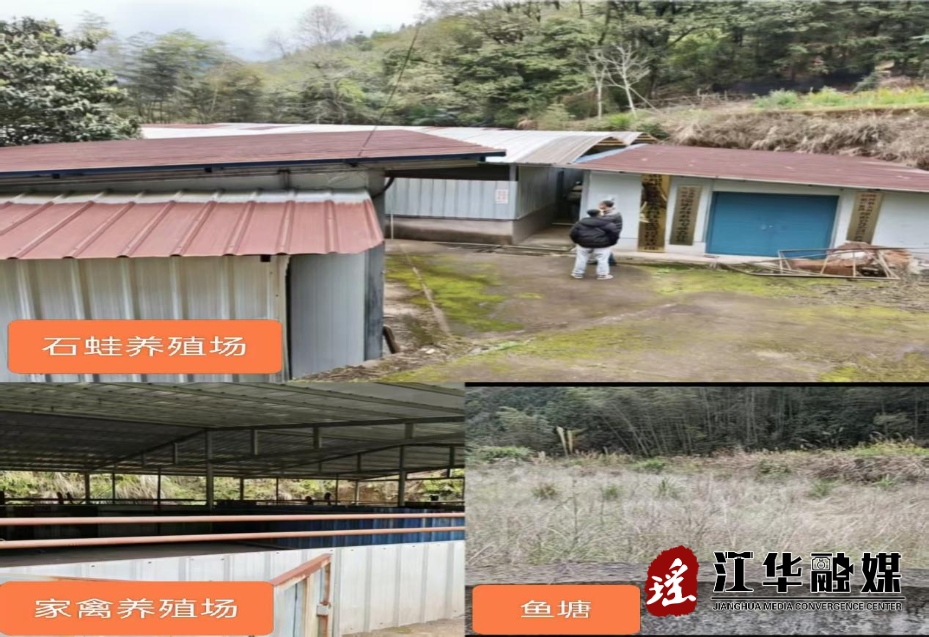 图片3.png 图片3.png