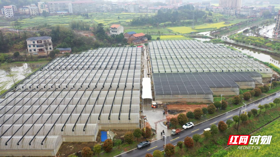 图片22.png 图片22.png