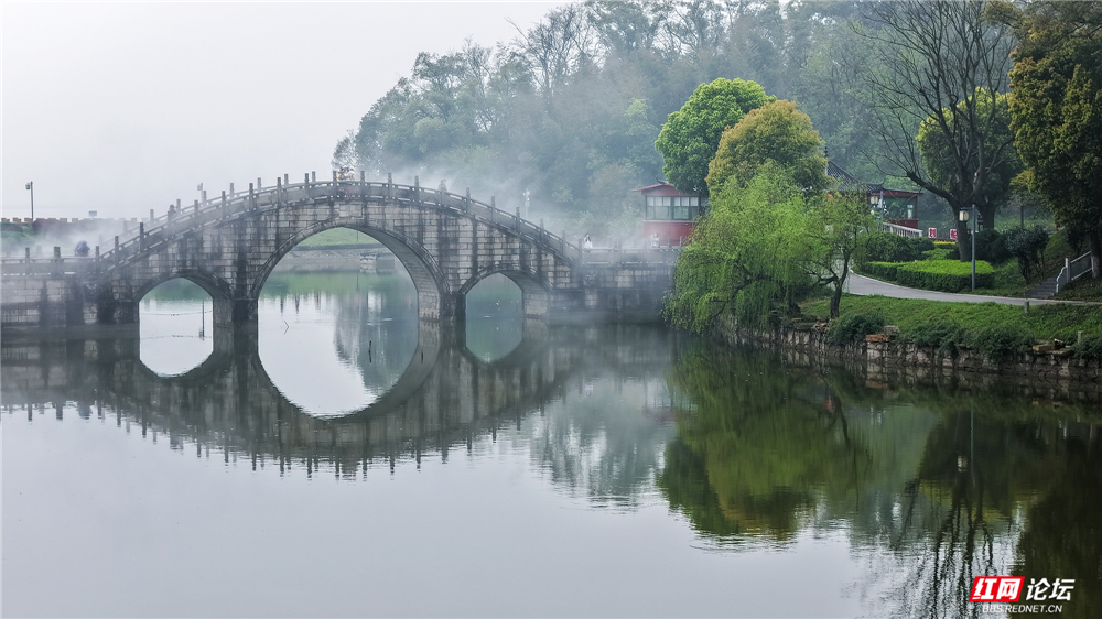 【赴春之约】来君山岛采茶吧，把春天的味道带回家