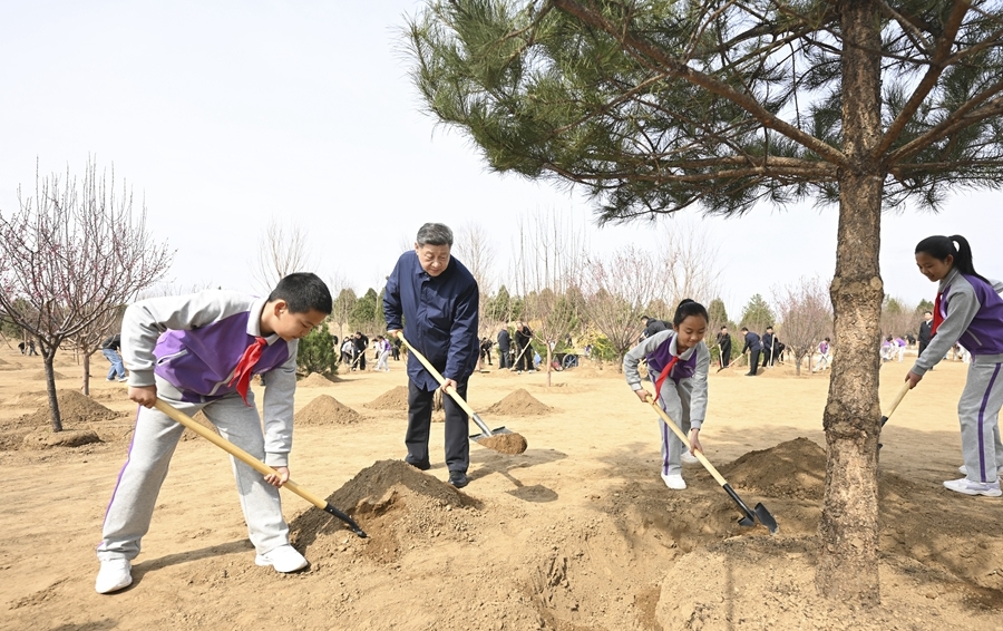 习近平参加首都义务植树活动
