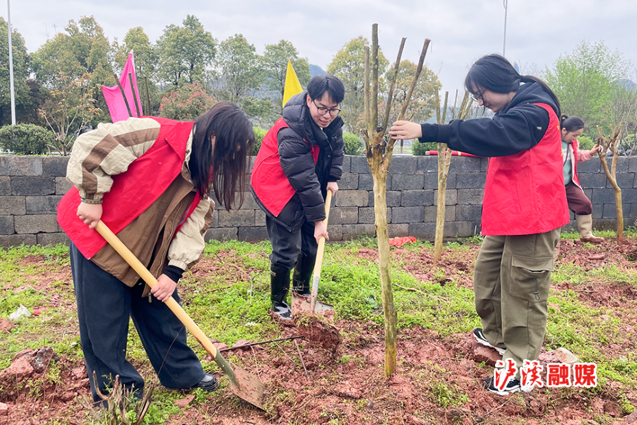 武溪镇3月植树 (1).JPG