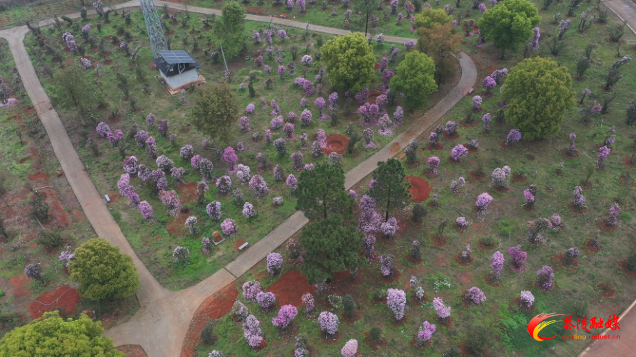 30td3YumLbEA.bmp 30td3YumLbEA.bmp