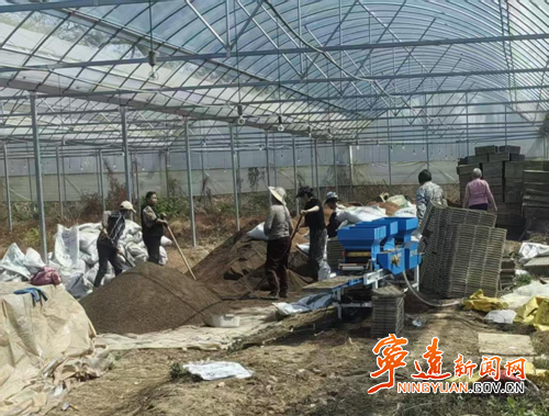 宁远县中和镇：抓好集中育秧 夯实粮食基础_副本500.png